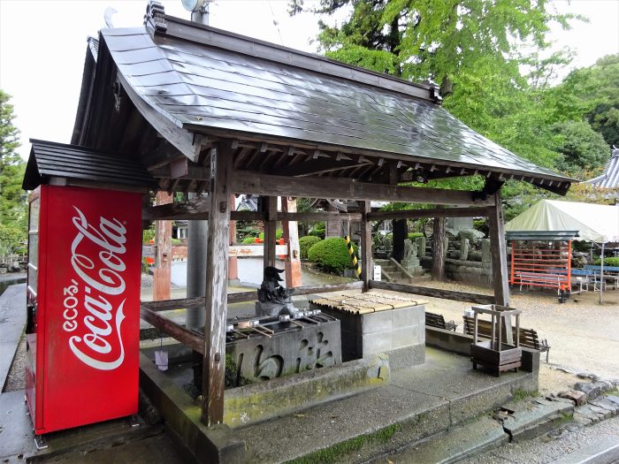 板野郡板野町大寺亀山下/亀光山金泉寺