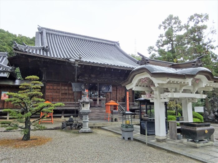 板野郡板野町大寺亀山下/亀光山金泉寺