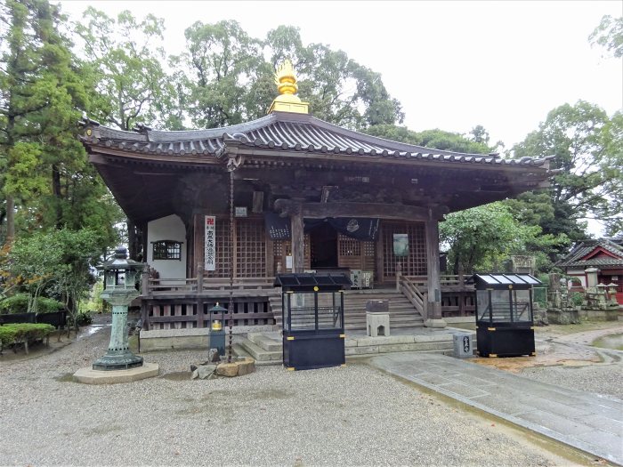 板野郡板野町大寺亀山下/亀光山金泉寺