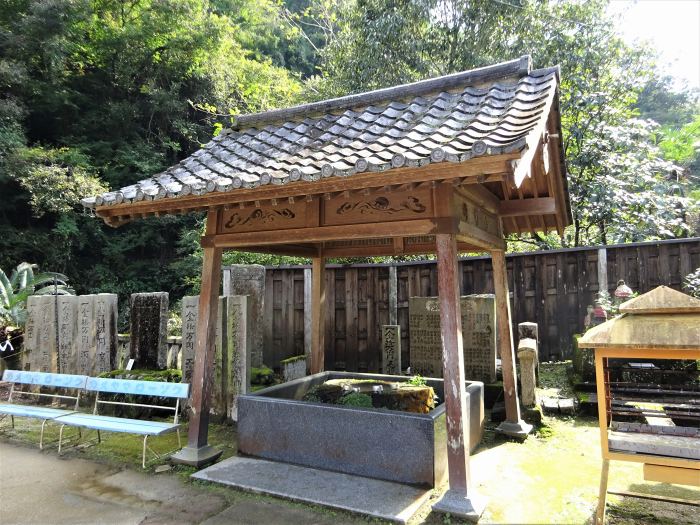 吉野川市鴨島町飯尾/金剛山藤井寺