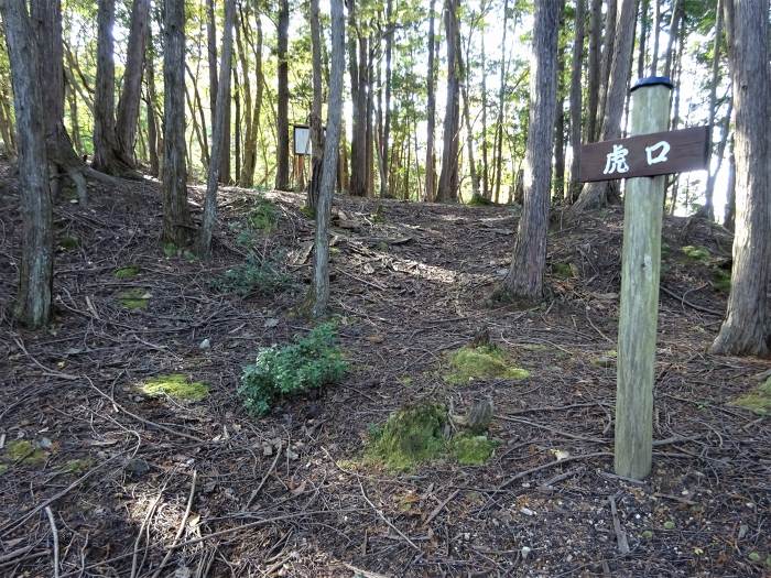 丹波篠山市辻/南山城跡