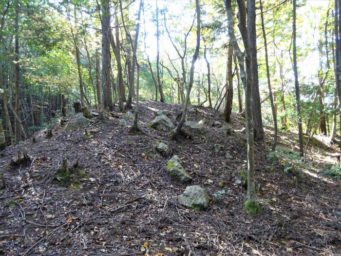 丹波篠山市辻/南山城跡