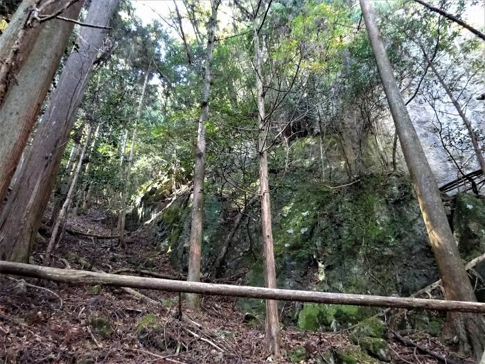 丹波篠山市追入/金山・金山城跡写真