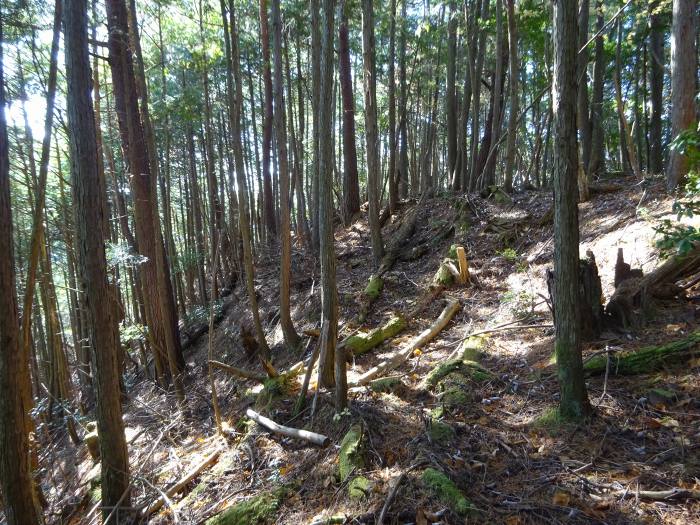 丹波篠山市谷山/谷山城跡