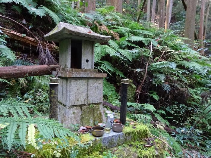 丹波篠山市谷山/谷山城跡