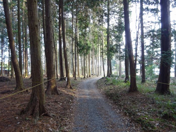 丹波篠山市味間新/妙見堂