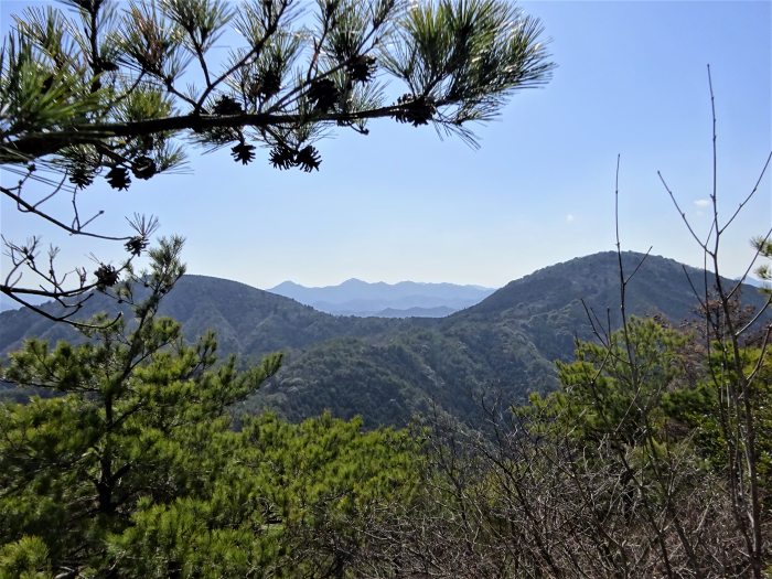 丹波篠山市小坂/夏栗山