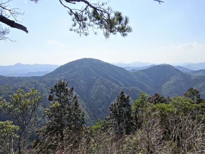 丹波篠山市小坂/黒頭峰