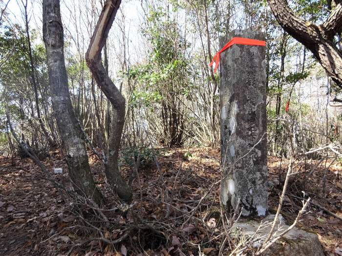 丹波篠山市今田町本荘/洞ヶ山