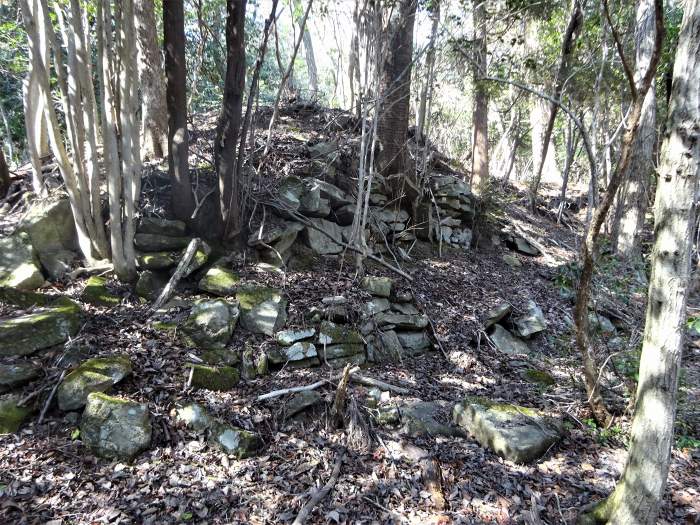 丹波篠山市今田町本荘/洞ヶ山