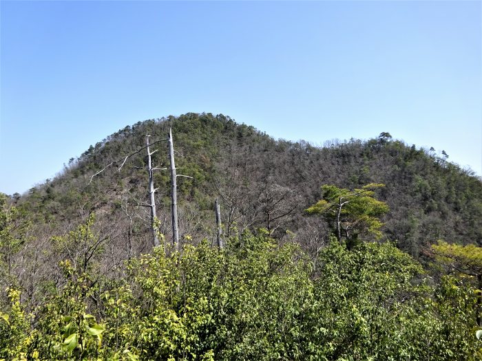 船井郡京丹波町東又/兜山写真