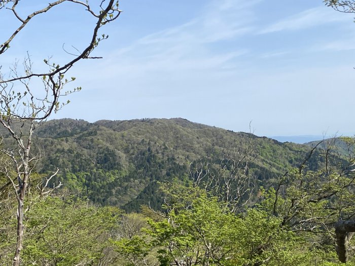 京都市左京区花脊八桝町/知世路谷山