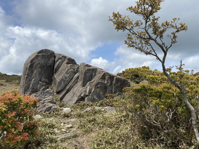 朝来市生野町栃原/フトウガ峰