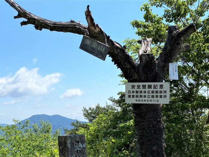 丹波市氷上町井中/安全山