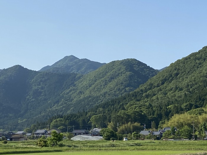 丹波市氷上町井中/水山