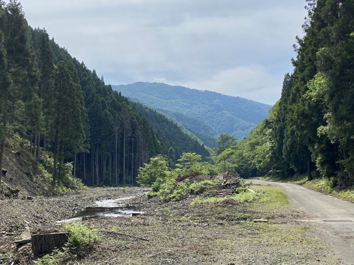 大飯郡おおい町名田庄染ヶ谷/八ヶ峰