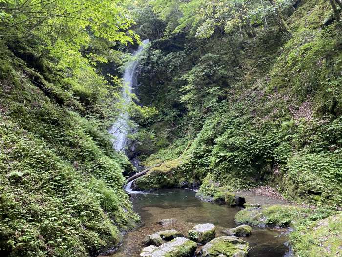 大飯郡おおい町名田庄納田終/頭巾山