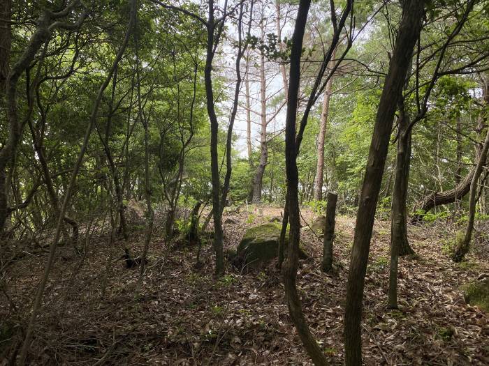 多可郡多可町加美区観音寺/大海山