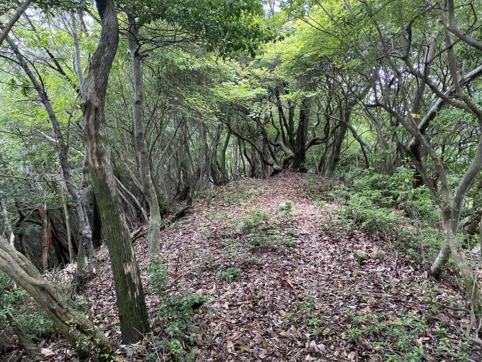 丹波市山南町西谷/三組尾