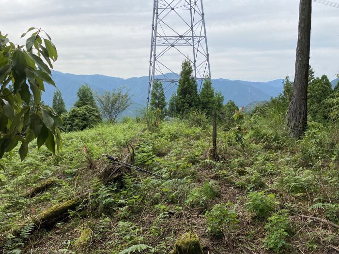 多可郡多可町加美区箸荷/小野山