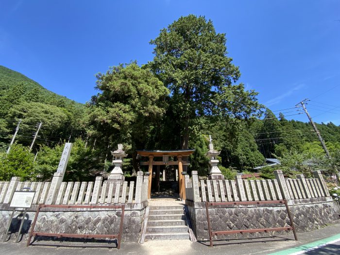 神崎郡神河町大畑/大歳神社の大杉