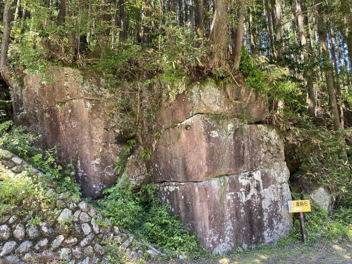 神崎郡神河町大畑/大歳神社の大杉