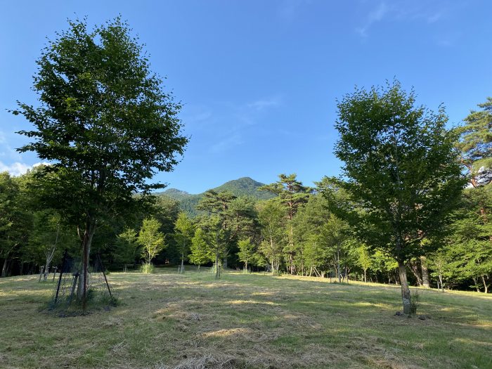 宍粟市千種町河内/三室山