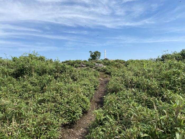 宍粟市千種町河内/三室山