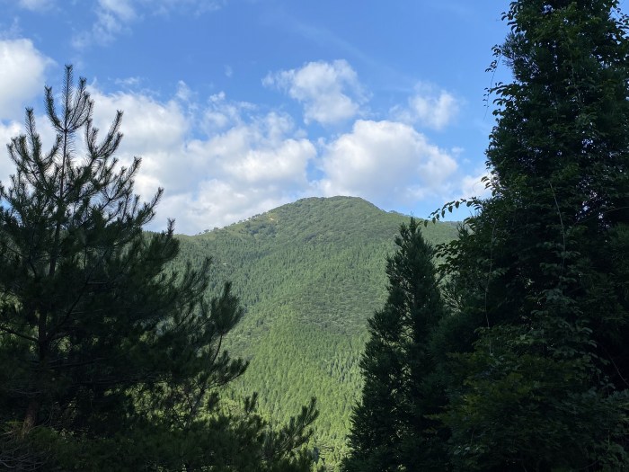 宍粟市千種町河内/竹呂山