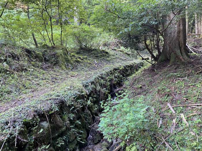 南条郡南越前町大桐/山中峠