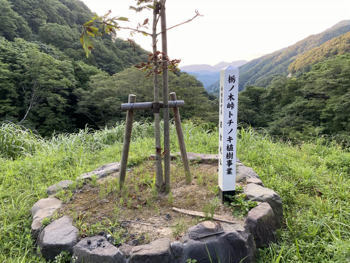 南条郡南越前町板取/栃ノ木峠