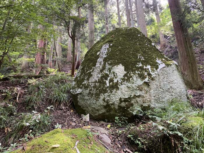 南条郡南越前町板取/木ノ芽峠