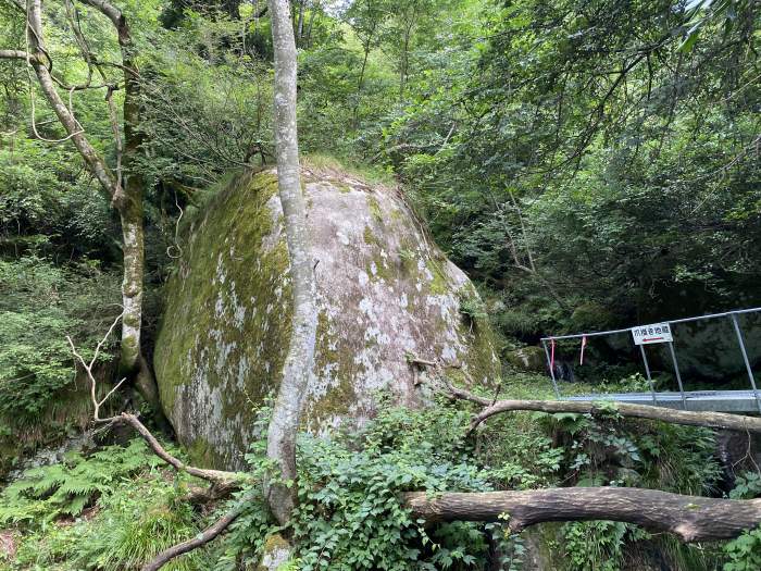 南条郡南越前町板取/木ノ芽峠