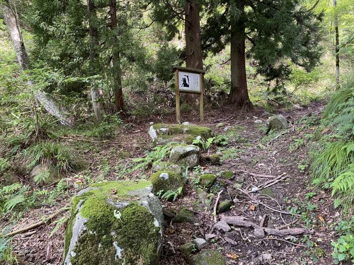 南条郡南越前町板取/木ノ芽峠