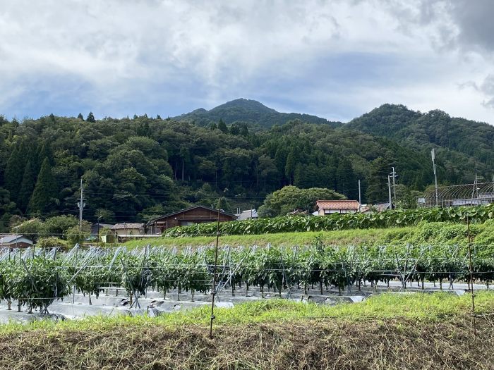 豊岡市但東町高龍寺/高竜寺ヶ岳