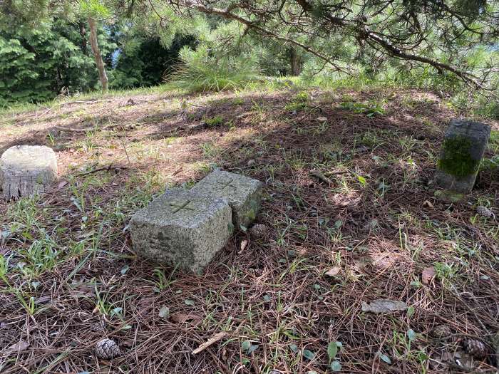 豊岡市但東町高龍寺/高竜寺ヶ岳