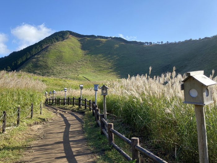 宇陀郡曽爾村/曽爾高原