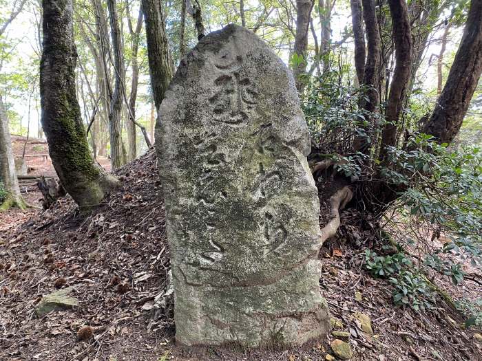 綾部市睦寄町/シデ山、大栗峠