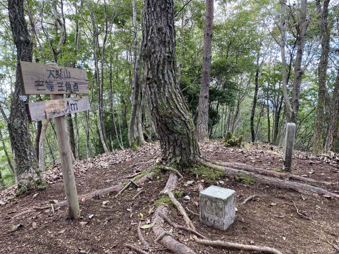 綾部市睦寄町/大栗山