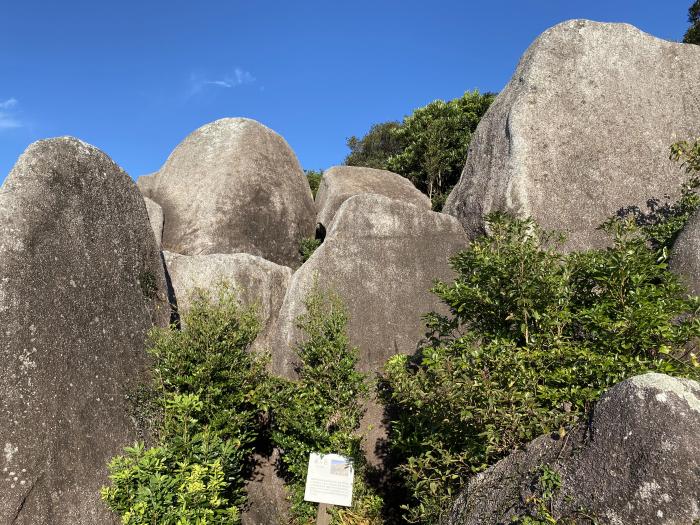 土佐清水市松尾/唐人駄場