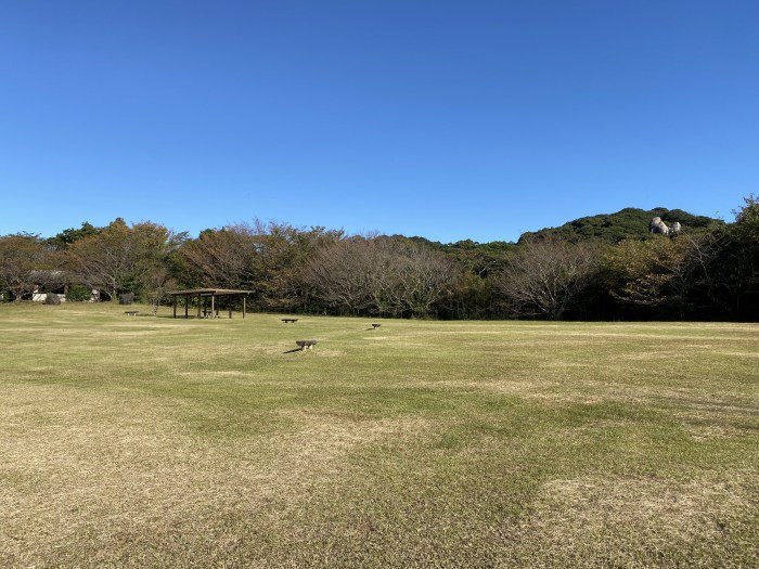 土佐清水市松尾/唐人駄場