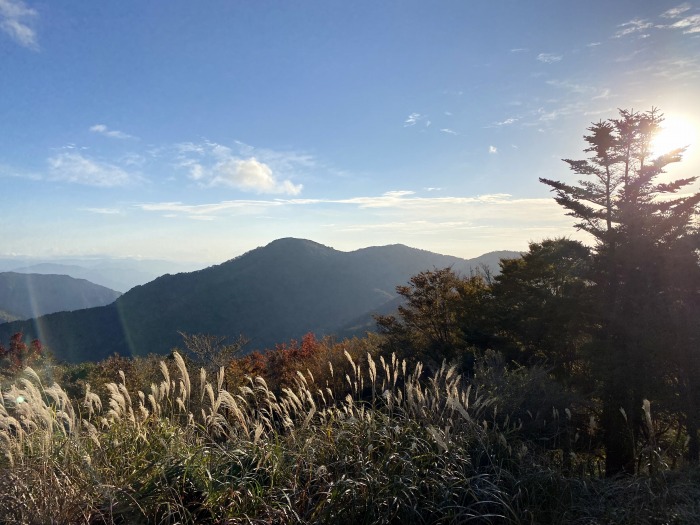 宇和島市野川/三本杭