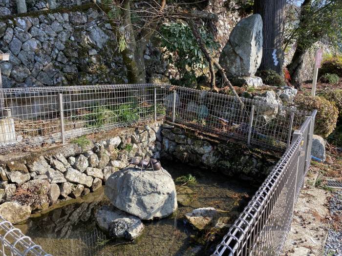 丹波市青垣町東芦田/高座神社