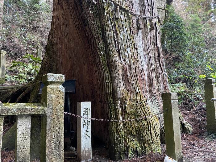 多可郡多可町加美区鳥羽/青玉神社