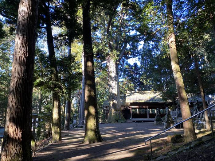 丹波市山南町上滝/山口神社