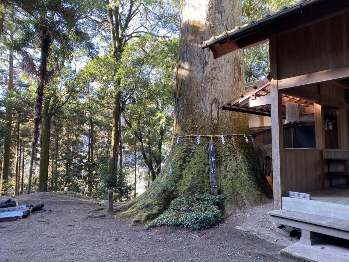 丹波市山南町上滝/山口神社