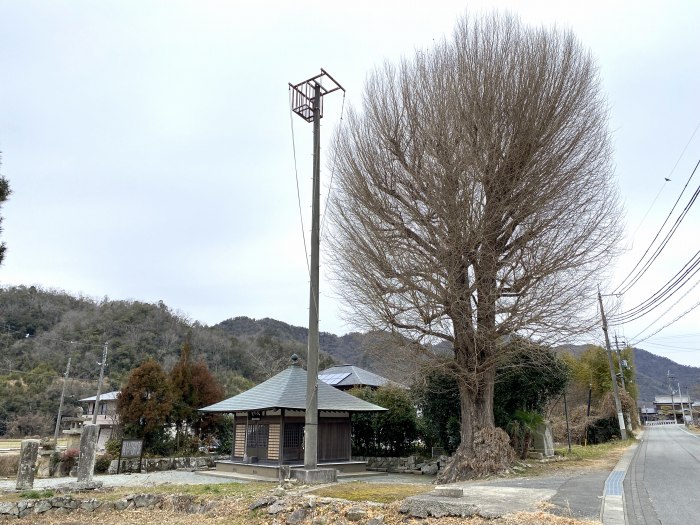 三田市小野/大日堂