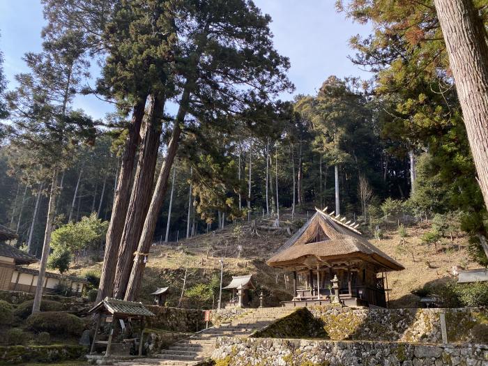 丹波市柏原町大新屋/新井神社