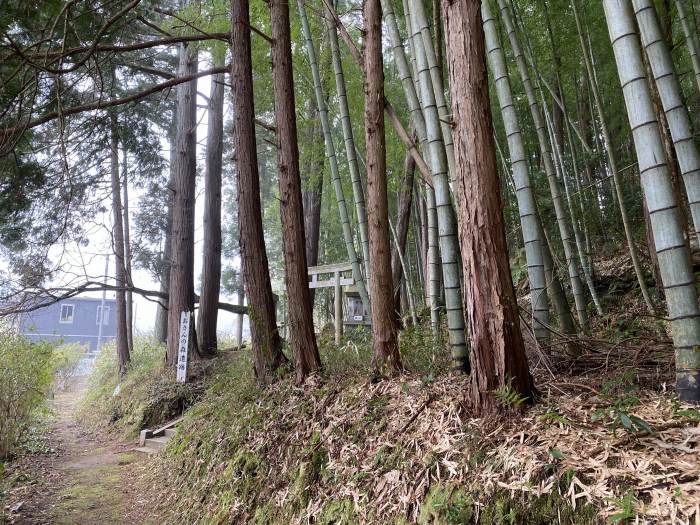 丹波市柏原町柏原/おさんの森