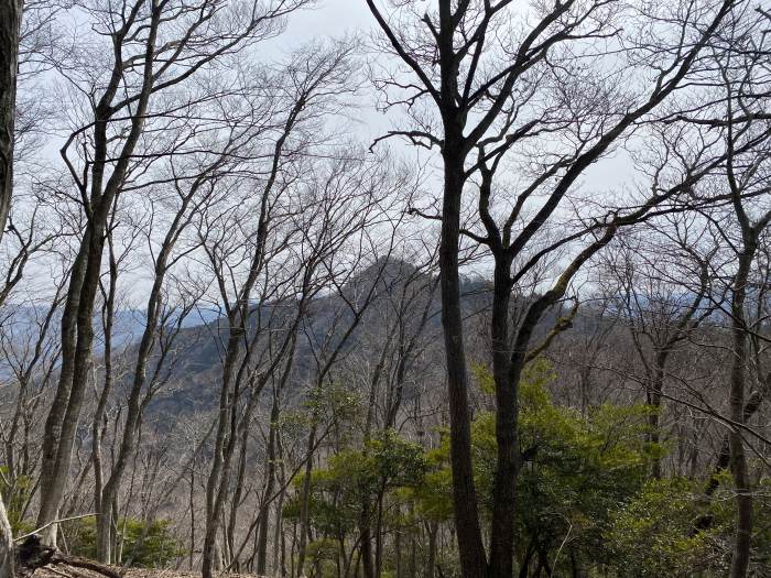 丹波市青垣町山垣/烏帽子山